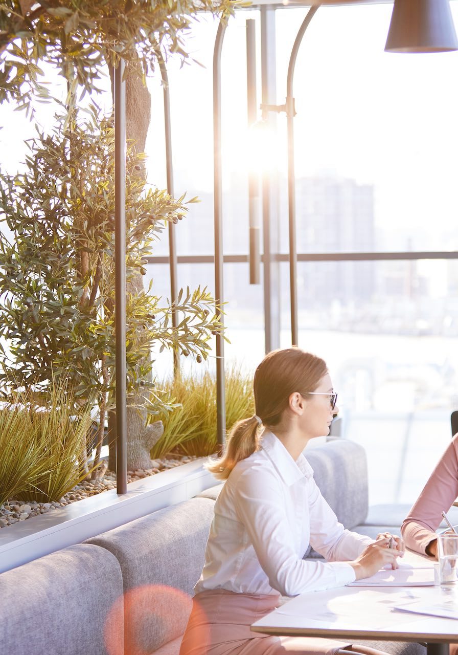 Positive young attractive women sitting at table in modern restaurant and using laptop while talking about project development